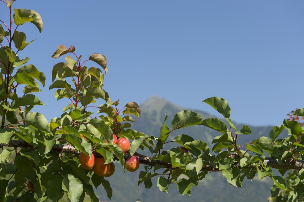 Pension Etschland Tirolo Luaran gambar